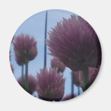 Magnet - Chives    Image 1