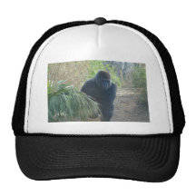 Magnificent Mountain Gorilla Mesh Hats