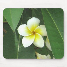Magnolia Extreme Mousepads