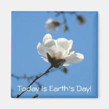 Magnolia Flower Magnet Today is Earth's Day
