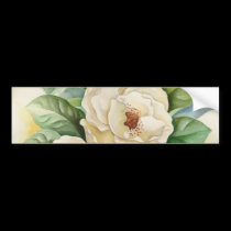 Magnolia Flower Watercolor Art - Multi bumper stickers