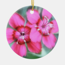 Maiden Pinks Christmas Tree Ornaments
