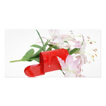 MailboxInLilies051409 Picture Card