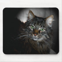 Maine Coon Mouse Mats