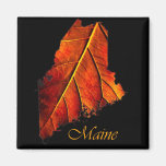 Maine Gift Magnet Souvenir magnets
