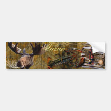 maine grunge bumper bumper sticker