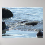 Maine York Beach Seaside Print