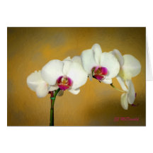 Majestic in White OP Greeting Card