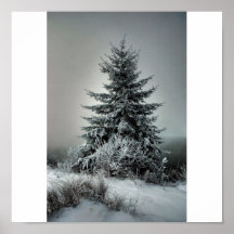 Majestic Winter Print