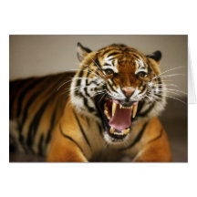 Malayan Tiger #2 card
