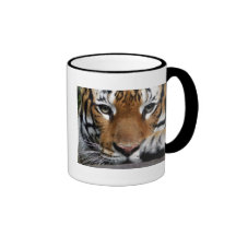 Malayan Tiger #3 mug