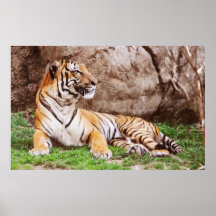 Malayan Tiger 3 Poster