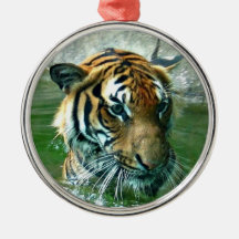 Malayan Tiger Christmas Ornament