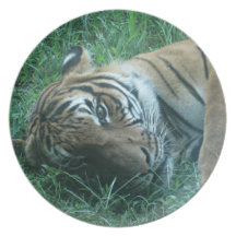 Malayan Tiger Party Plate