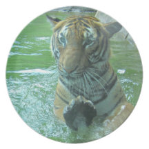 Malayan Tiger Plate