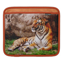 Malayan Tiger Sleeves For iPads