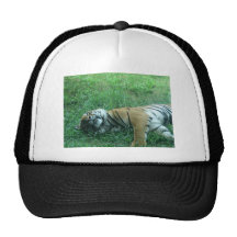 Malayan Tiger Trucker Hat