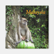 Malaysian Monkey Fridge Magnet