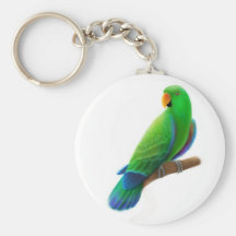 Male Eclectus Keychain