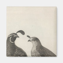 Male & Female Partridge of California Magnet