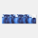 Male Killer Whale Bumper Sticker