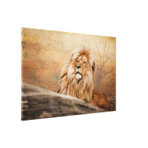 Male Lion Photo Canvas Prints