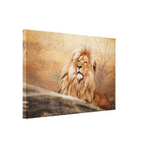 Male Lion Photo Stretched Canvas Prints