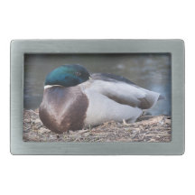 Male Mallard Duck Belt Buckle