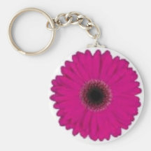 Malibu Key Chains
