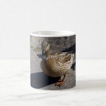 Mallard Coffee Mugs