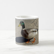 Mallard Coffee Mugs