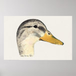 Mallard Duck Hen Watercolor Posters