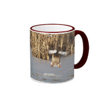 Mallard Duck Landing on a frozen Pond Gift Mug