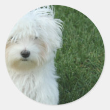 Maltese Rescue Stickers