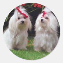 Maltese Stickers