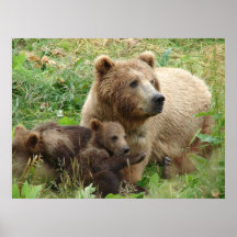 Mama Bear and Cubs Print