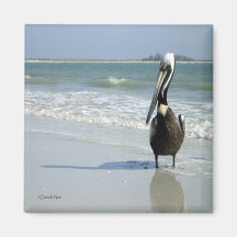 Mama Pelican Magnet