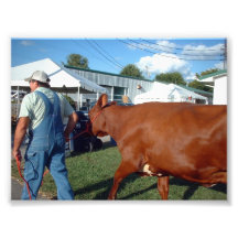 Man in Overalls With Brown Cow Photo