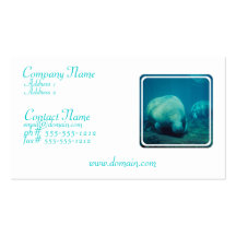 Manatee Photo Business Card