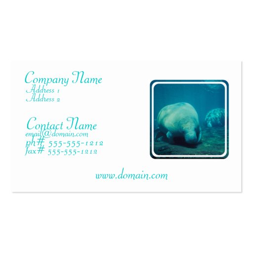 Manatee Photo Business Card