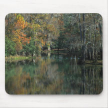 Manatee Springs Mouse Pad