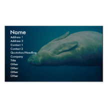 Manatee Stretching Business Card Templates