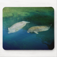 MANATEES MOUSE PAD