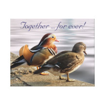 Mandarin ducks canvas print