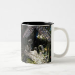 Manger Scene Nativity Coffee Mug