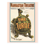Manhattan Theatre The Turtle, Ziegfeld Postcards