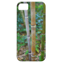 Manly, Masculine, Bamboo, Asian, Iphone 5 case