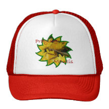 Mantis & Chrysanthemums - Hat #2