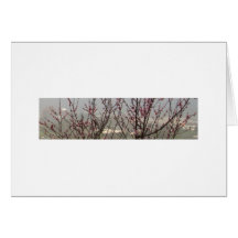 Many Trees Hill Folding Card