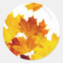 Maple leaves stickers